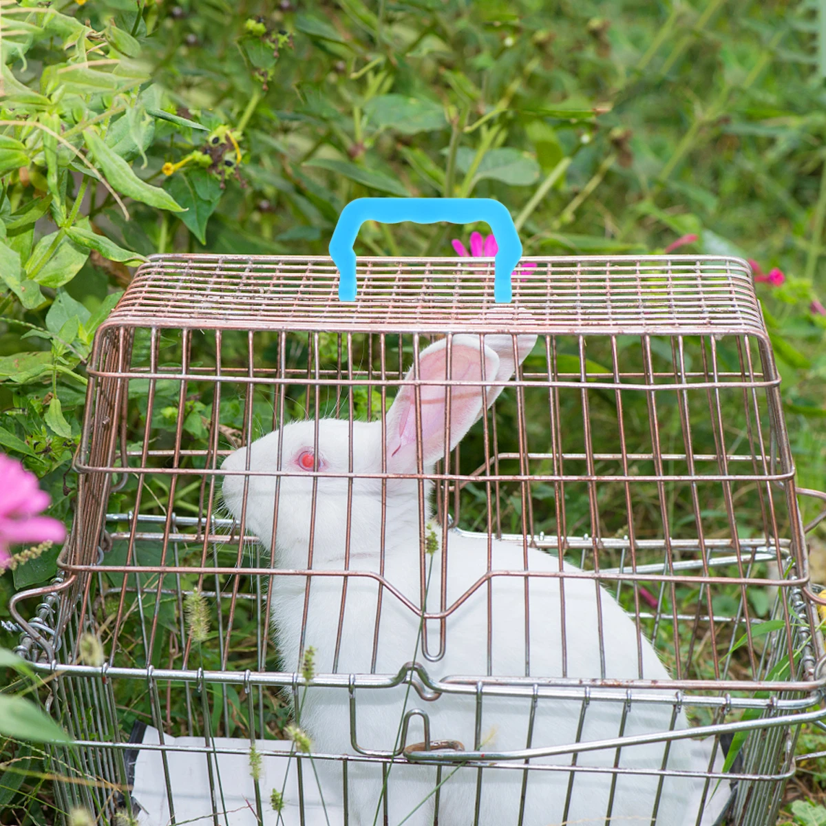 

10pcs Portable Cage Handle Set Detachable Plastic Pet Cage Lifting Handles For Bird Outdoor Small Animal Housing Durable