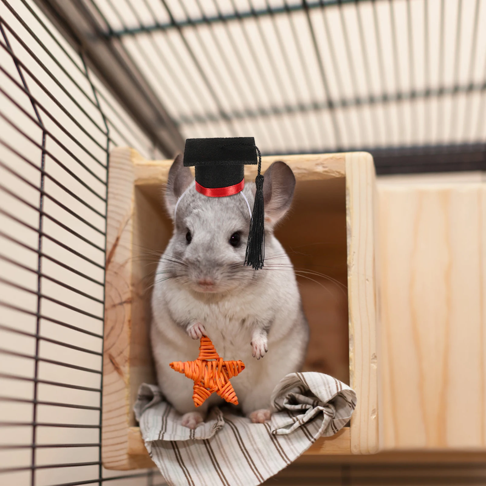

Small Pet Hat Mini Graduation Cap for Mice Hamster Hedgehogs Green Tassel Photo Prop Pet Costume Hat Small Animal Party Supply