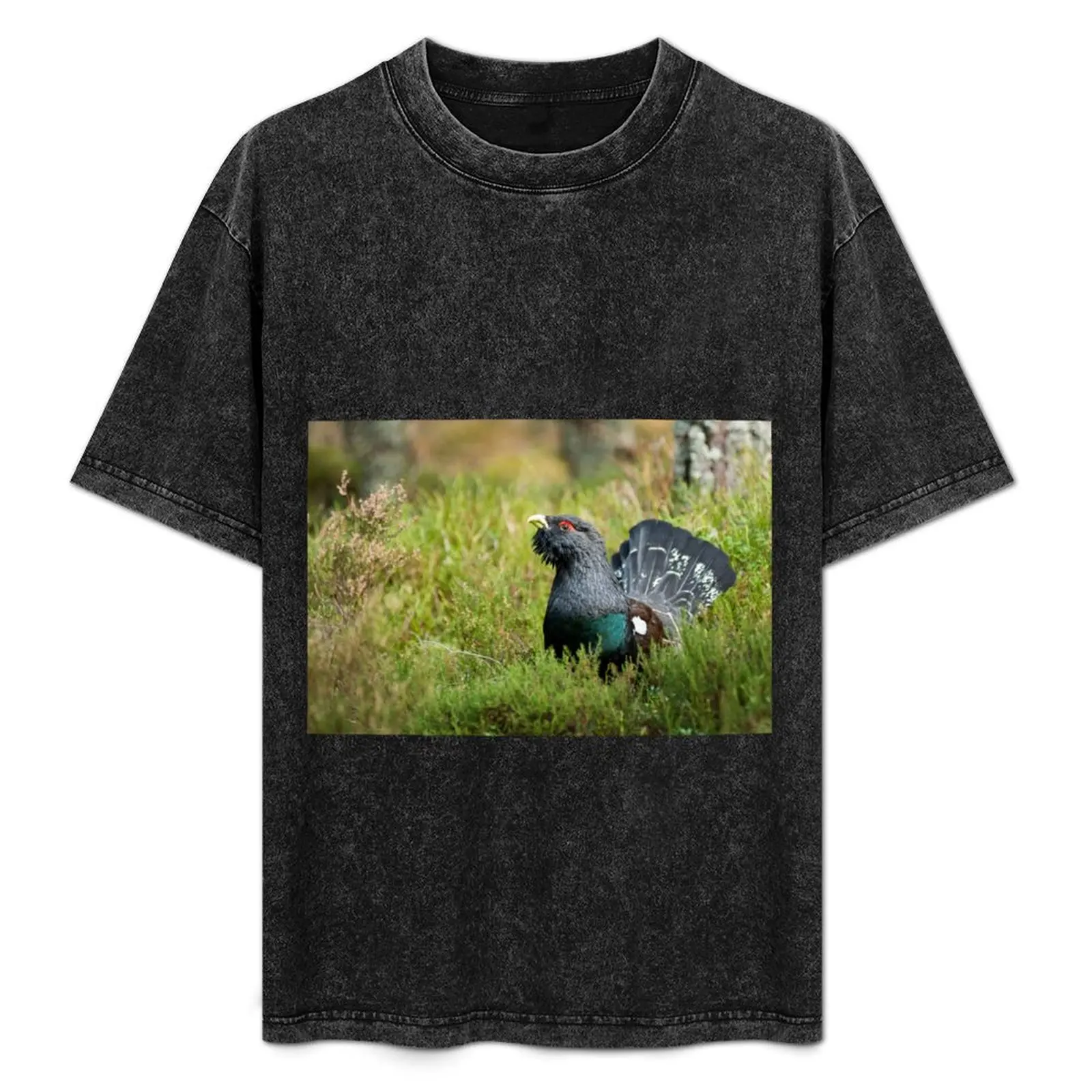 Capercaillie in highland heather T-Shirt tops Short sleeve tee mens cotton t shirts