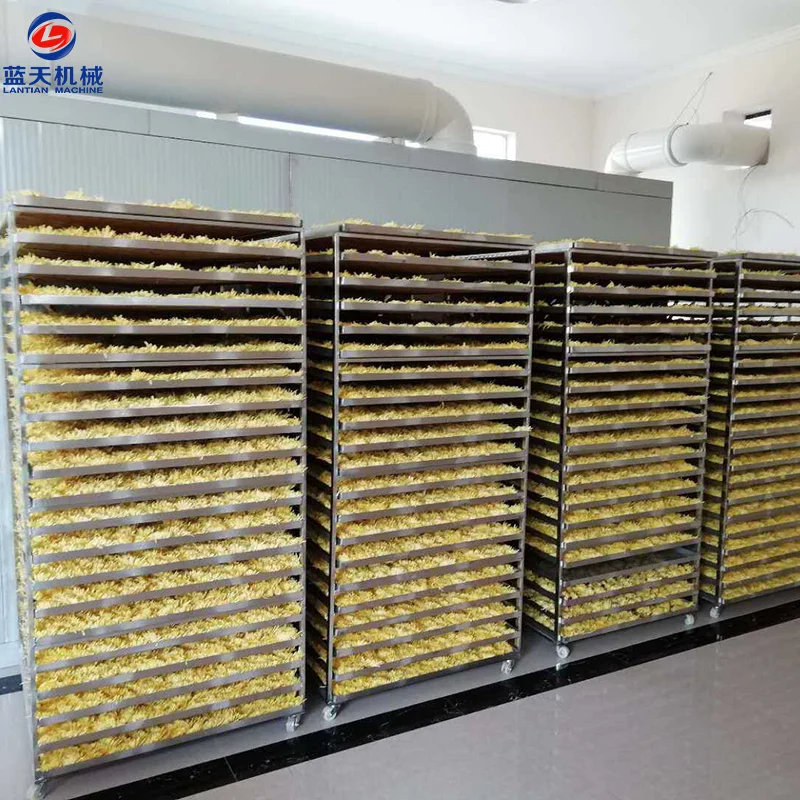 Environment Protection Commercial Dryer For Fruits And Vegetables Palm Kernel Date Peanut Walnut Drying Machine Oven