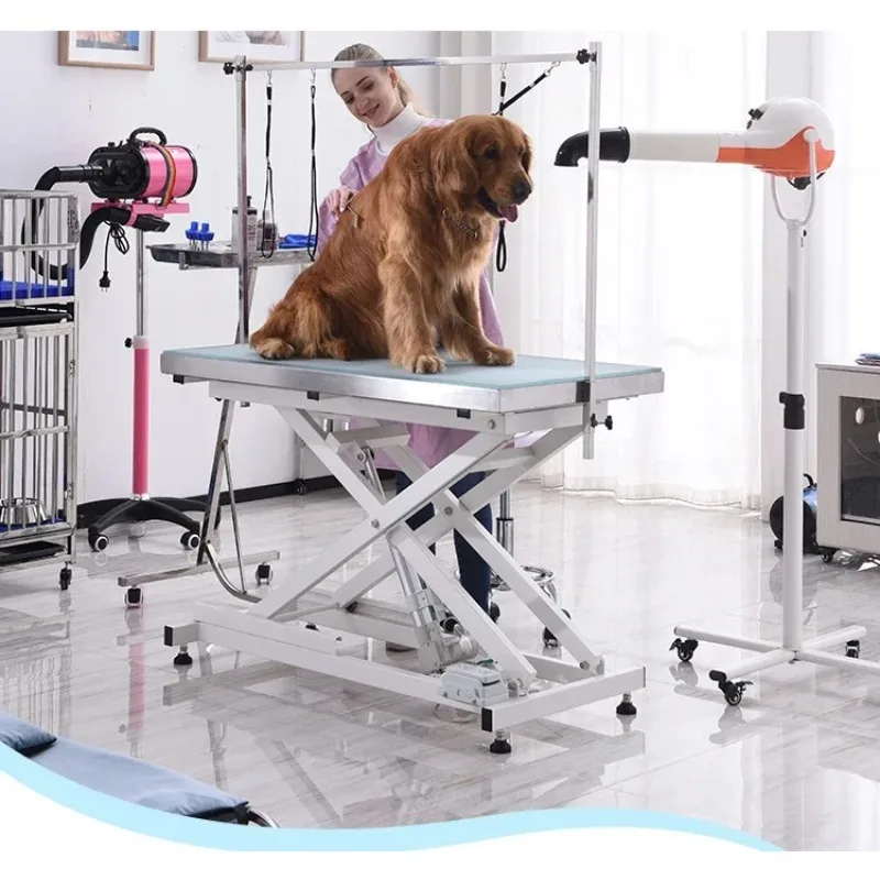 Adjustable Speed Dog Cat Pet Hair Dryer Heating Grooming Machine With Slicker Brush