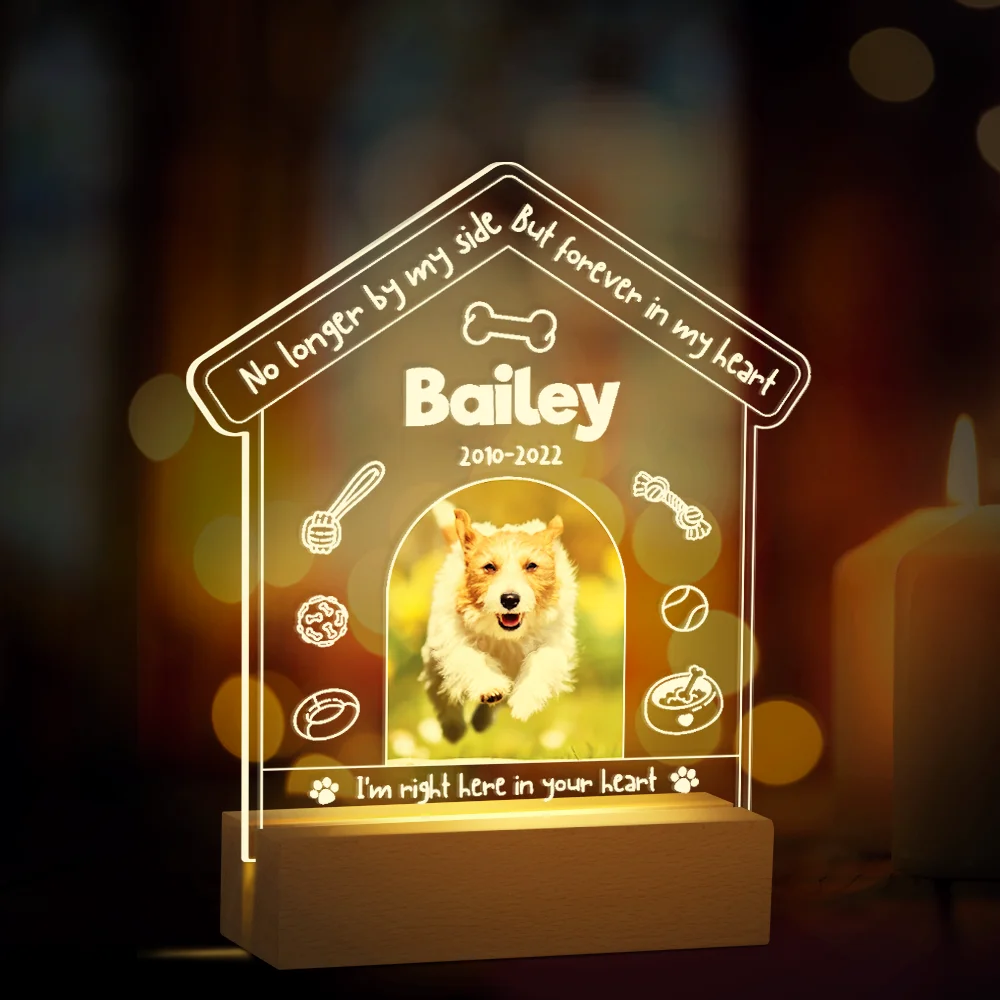 Personalized Dog Memorial Gifts for Loss of Pet Memorial Gifts for Dog Cat, Personalized Night Light Dog Memorial Photo Plaque D