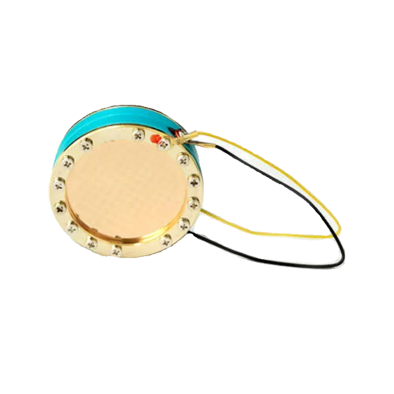 Microphone Head Condenser Microphone Head Full Gold Plated CTS-3