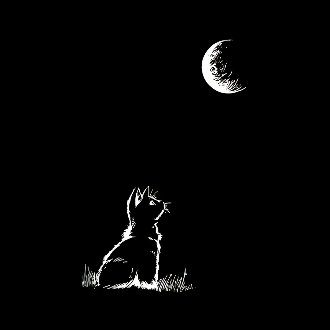 

Термонаклейки DTF с изображением кошки и луны, моющиеся термонаклейки, подходящие для футболок, масок, джинсов, рюкзаков