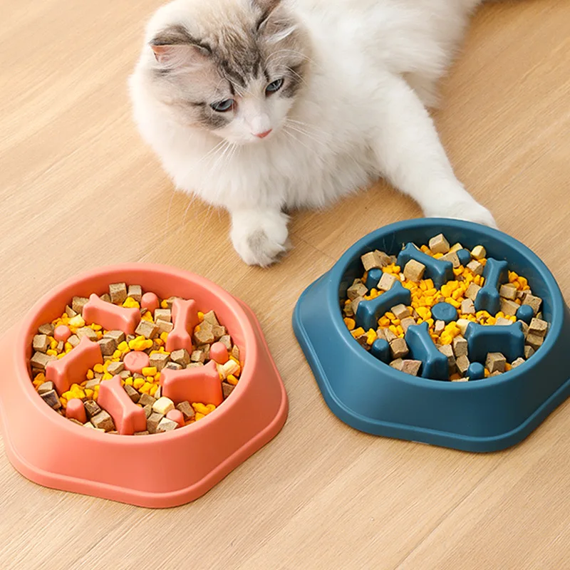 China popular pet supplies summer accessories novelty hexagon