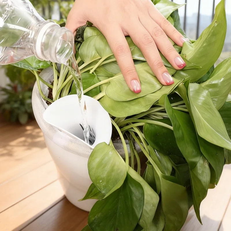 جهاز سقي النباتات القابل للتنفس، أنبوب حماية الجذر المخروطي المنزلي، أنبوب مهوية التربة البلاستيكي، أداة منع الجذر