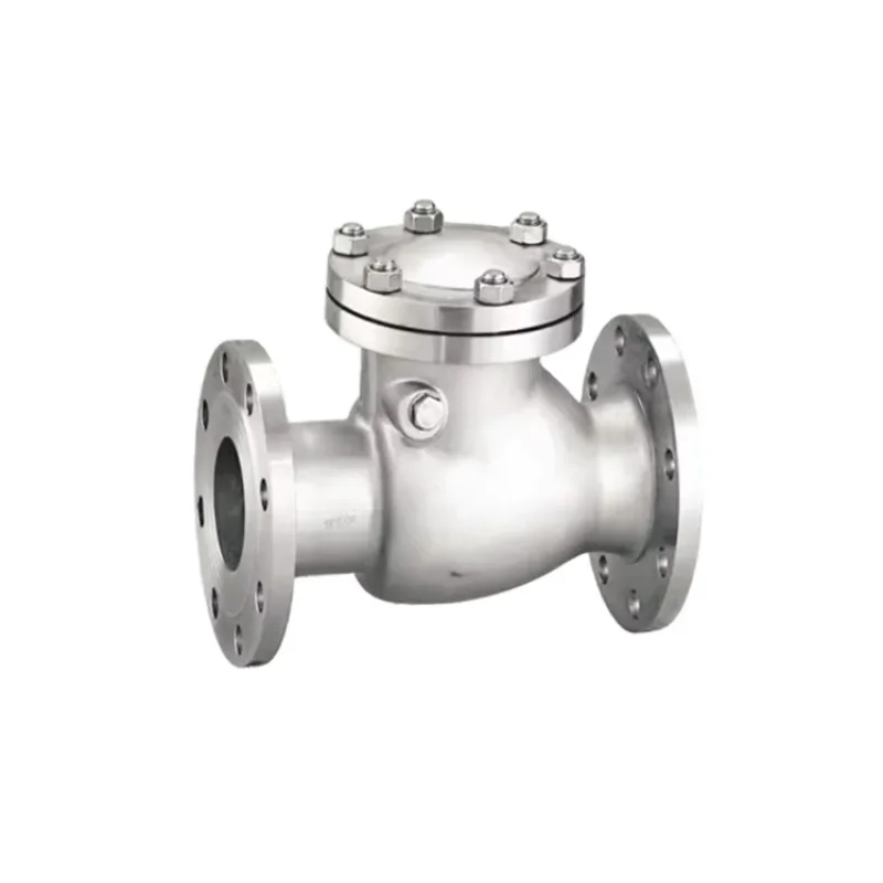 

Stainless Steel Ductile Iron CF8 CF8M Single Disc Door Flanged Swing Type Check Valve