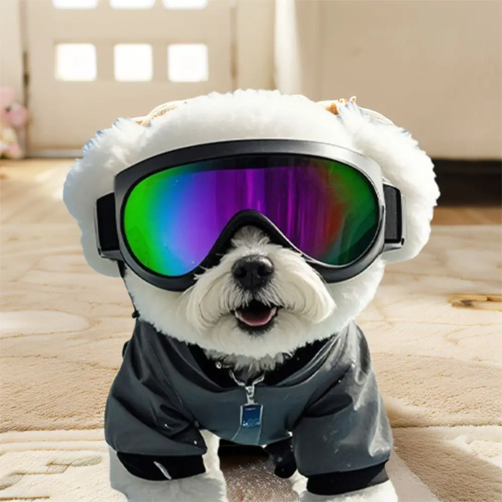

Summer Style Dog Goggles Adjustable Strap UV Protection Pet Sunglasses Breathable Comfortable Fit Windproof Dog Glasses