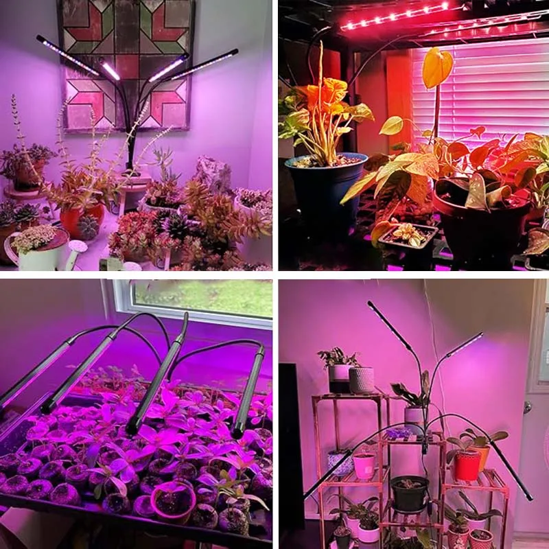 Luce per piante a LED a collo di cigno regolabile, timer automatico di accensione/spegnimento 3/9/12 ore per la crescita di piantine e piante grasse interne