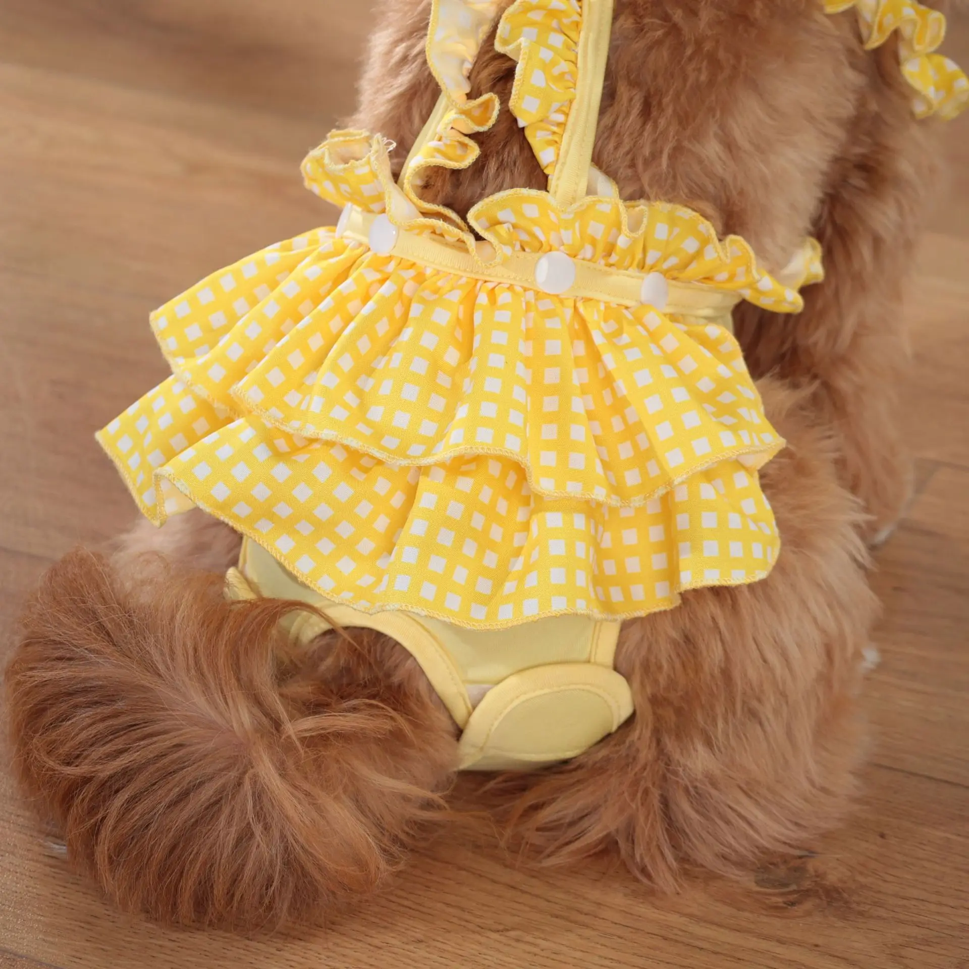 Newest Female Dog Physiological Pants Cute Print Pet Underwears for Small Dogs Cats Chihuahua Yorkshire Puppy Clothing Outfit