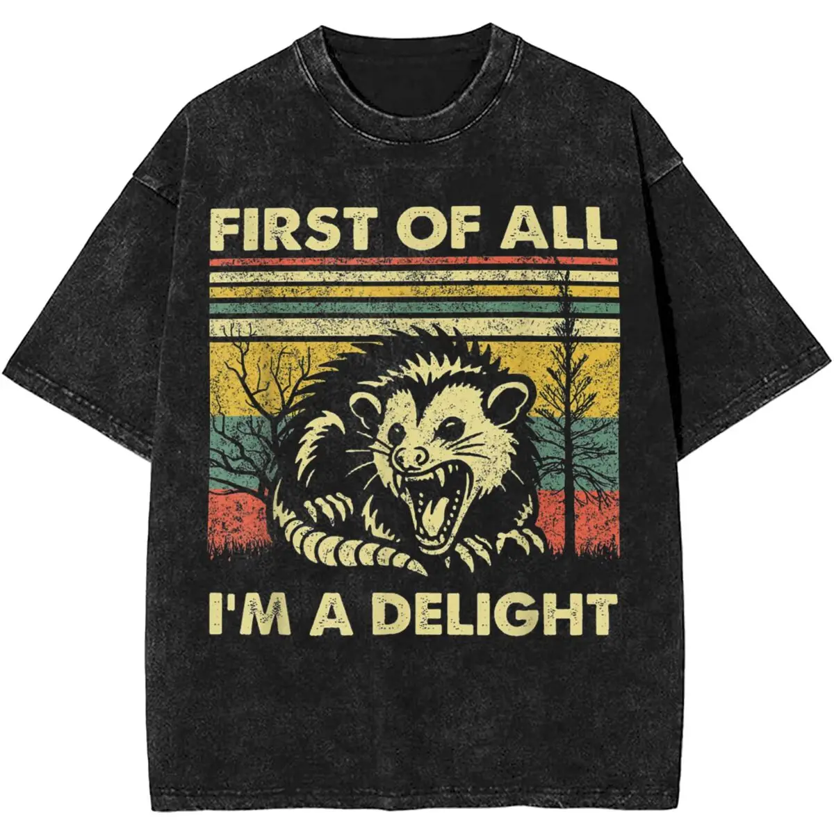 Printed First Of All I'm A Delight Sarcastic Angry Opossum Lover T Shirts Outfit for Men Women Tee Shirts Harajuku T-shirt