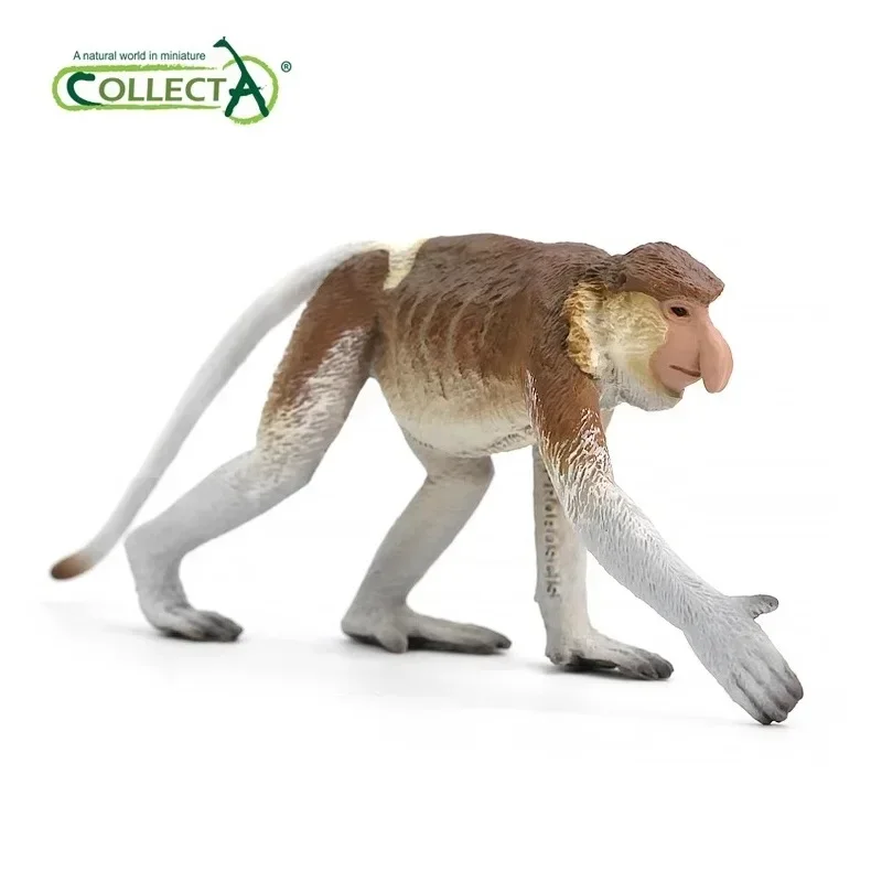 2024 New CollectA Proboscis Monkey Animal Model Toy