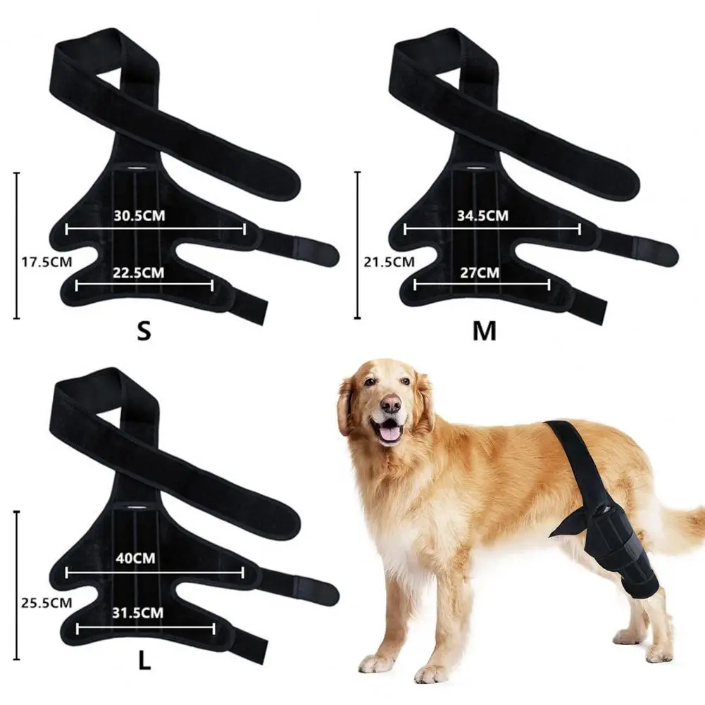 

Adjustable Dog Knee Brace Anti-Fall Pet Knee Pads Solid Helpful Dog Arthritis Keep Joint Extra Support Bracket Pet Supplies