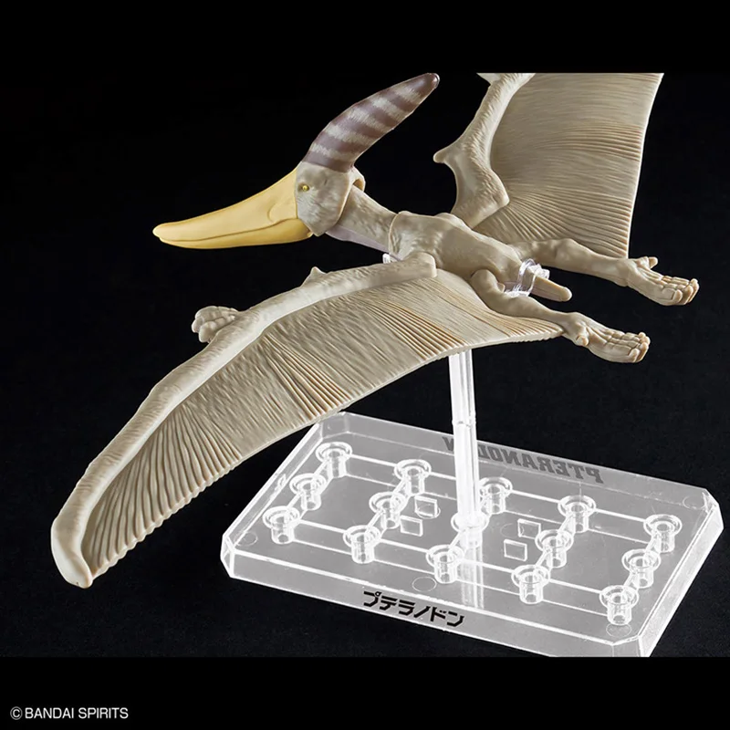 BANDAI Plastic Dinosauria Plannosaurus Pteranodon Assembly Model Action Figures Containing Skeletal Fossils Gifts Original