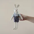 Blue ribbon rabbit