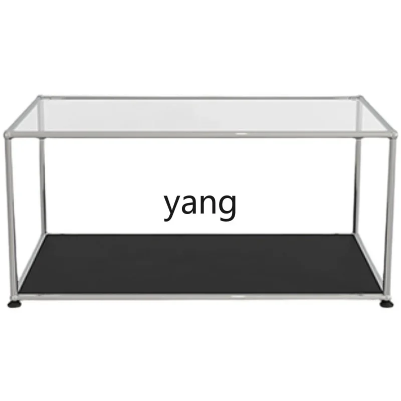 LH simple rectangular stainless steel coffee table double-layer tempered glass tea table mini table