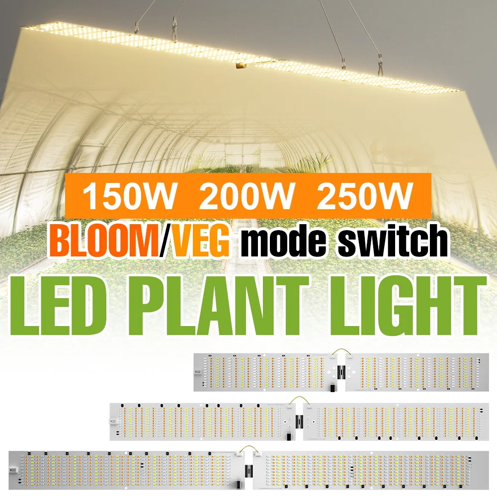 250W LED Quantum Board Plant Light Full Spectrum UV/IR Hydroponic Growth Lamps Greenhouse Tent Vegs Succulent Cultivate Lighting
