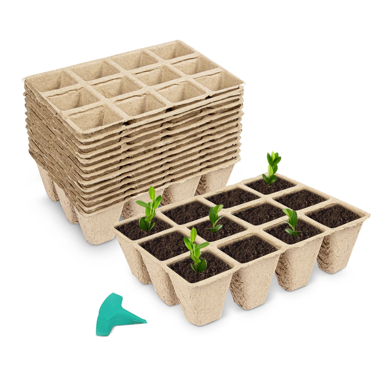 144 Cells Peat Pots Seed Starter Trays, 12 Packs Biodegradable Seedling Pots Germination Trays with 15 Pcs Plant Labels