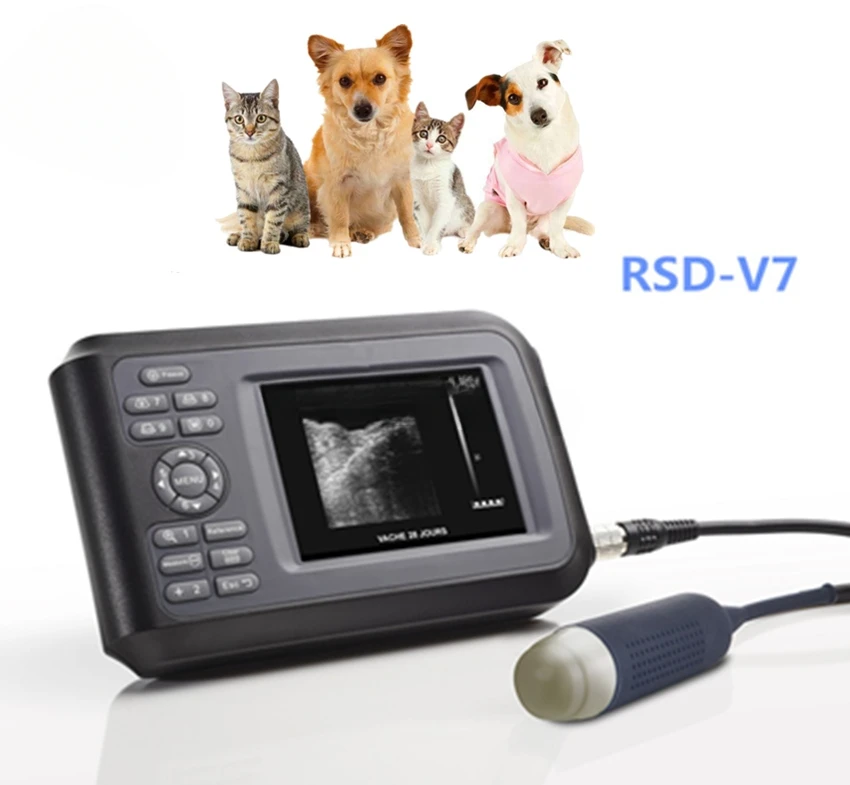 Horse Disease Detection Veterinary Ultrasound Scanner for Farm Animals