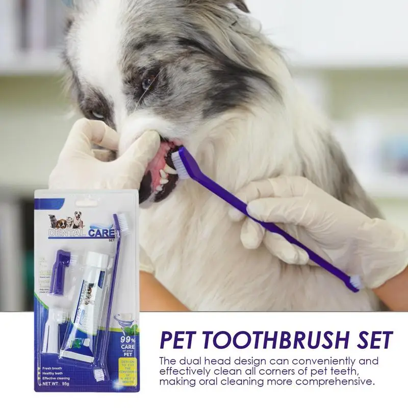 Dog Toothbrushes And Toothpaste Puppy Kitten Tooth Brushing Essentials For Home Pet Store Pet Hospital Pet Shelter Accessories