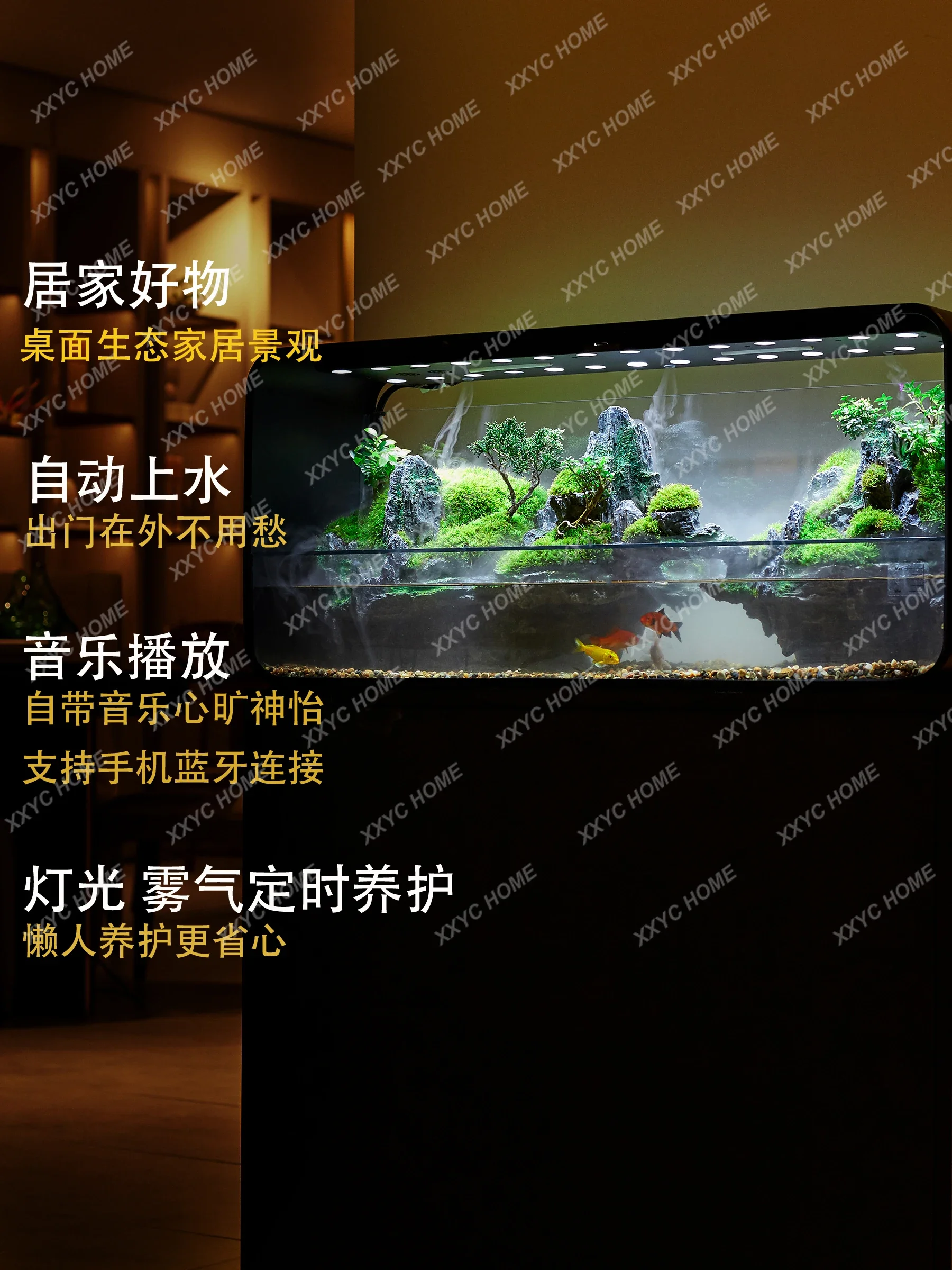 Amphibious Fish Tank New Change Water Plant Micro Landscape Rainforest Large Landscaping Ecological Pot