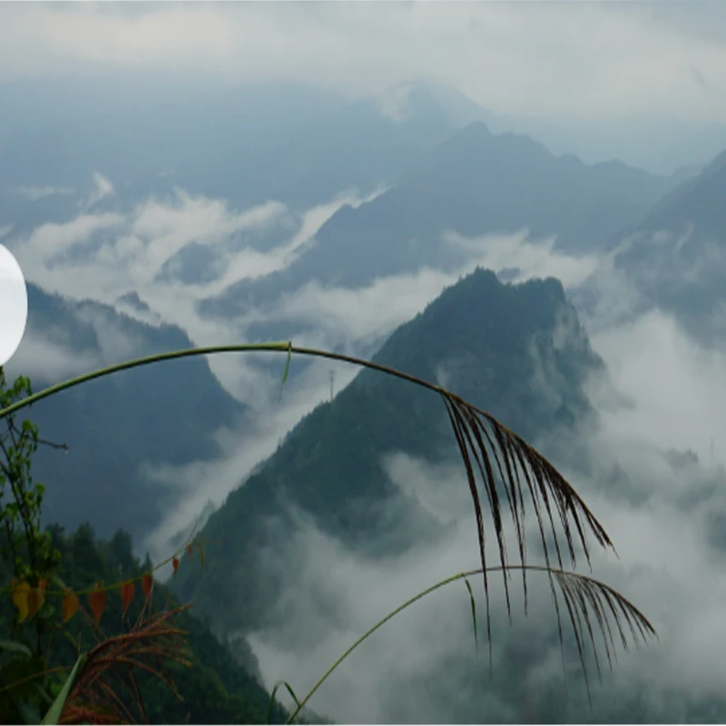 

JHEMCU GF30F435 Flight Controller ICM42688P Support OSD GPS Black Box 16M Barometer SPL06 3-6S LIPO 30.5Mx4M for RC FPV Drone