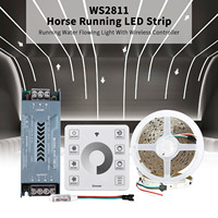 10m Running Water Flowing LED Strip Light DC24V WS2811 SMD2835 120LEDs/m Horse Race Pixel Addressable Flexible Linear Lamp Set