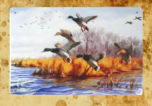 ducks wetland  tin metal sign fine art posters and prints