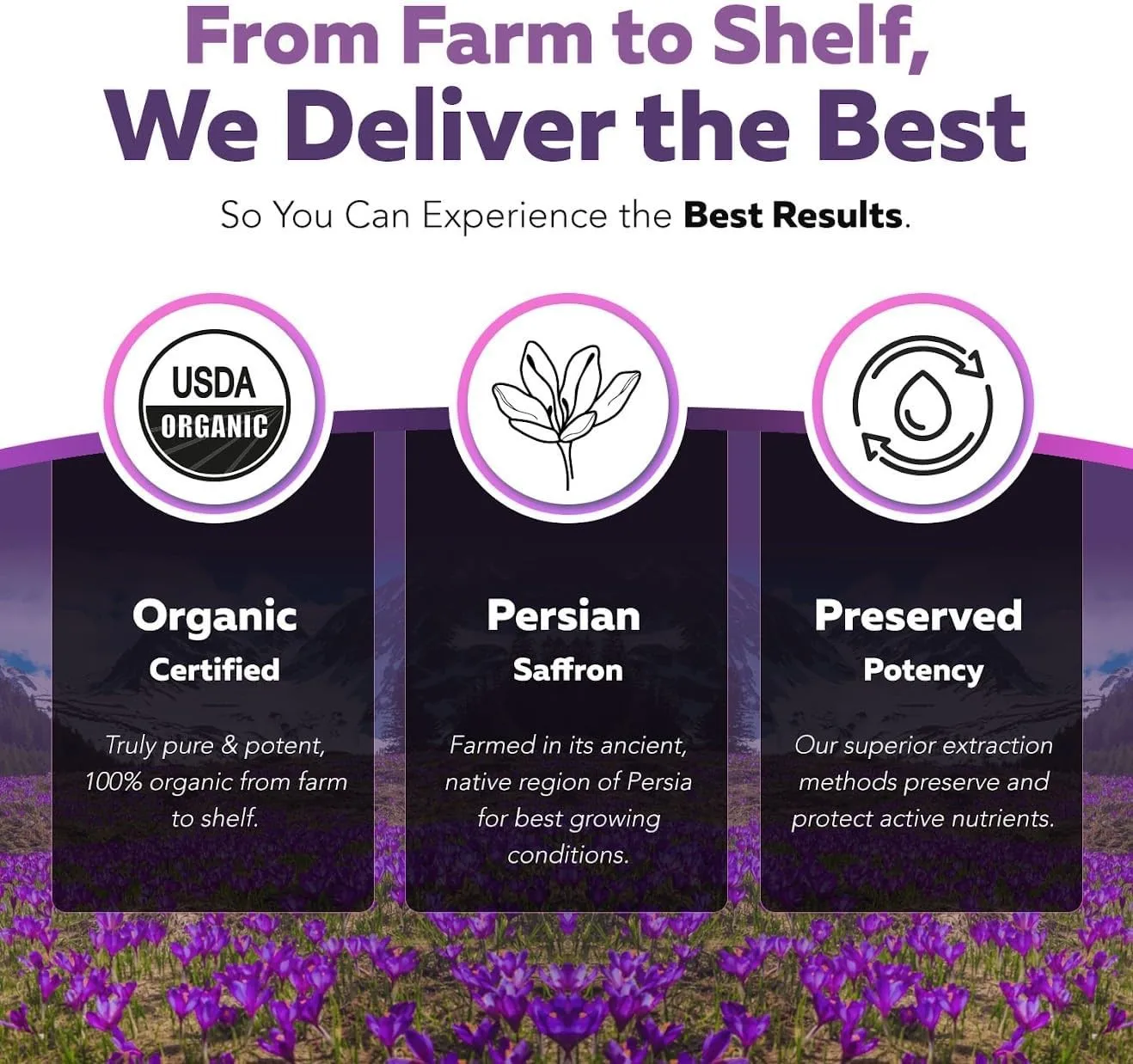 Ekstrak Saffron - Meredakan Stres, Meningkatkan Suasana Hati, Meningkatkan Kejernihan Pikiran, dan Mendukung Kontrol Nafsu Makan yang Sehat