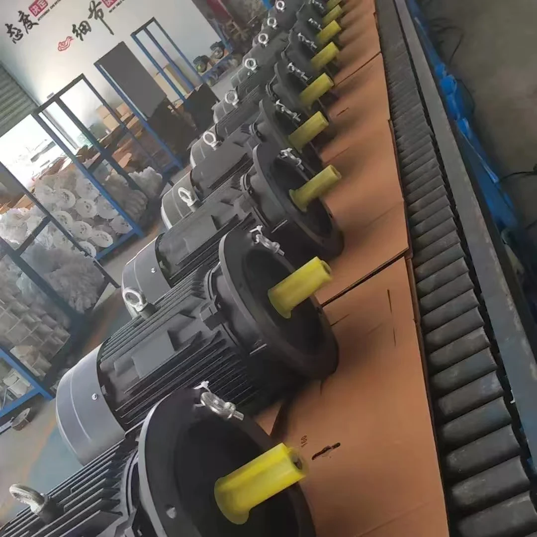 IEC Standard Multi HP 380V 50/60Hz Stable Operation Heavy Duty Three-phase AC Asynchronous Electric Motor