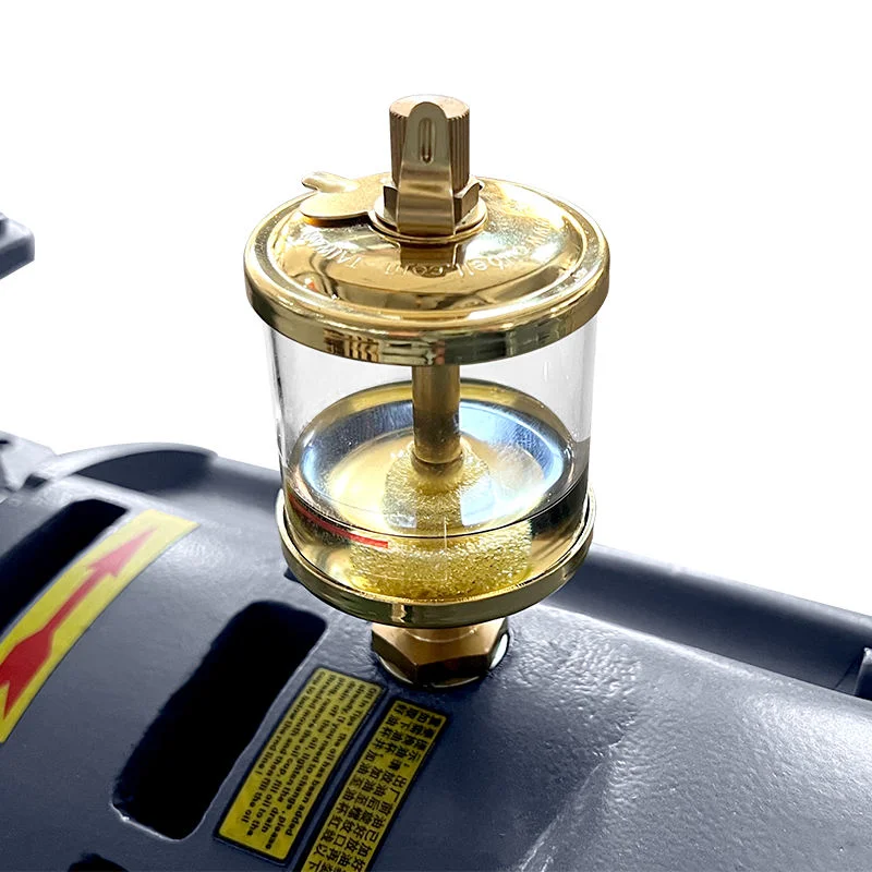 High Performance 250m3/h 0.5Pa Oil Free Air-cooling Industrial Roots Blower Vacuum Pump for Vacuum Coating,Pharmaceutical