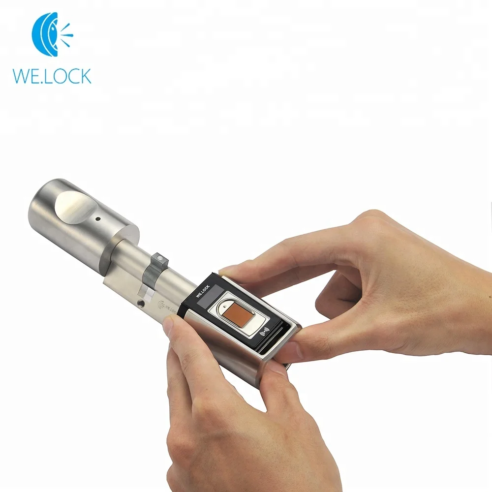 Hot Sale New Arrive Remote Digital Fingerprint Door Locks Cylinder Door Open L6SBR Fingerprint With Remote Control Bluetooth
