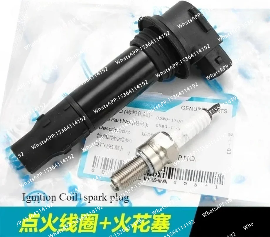 Motorcycle Ignition Coil  250NK 250NK SR CLX CLC  0DM0-178000 250 SR NK 250CL-X