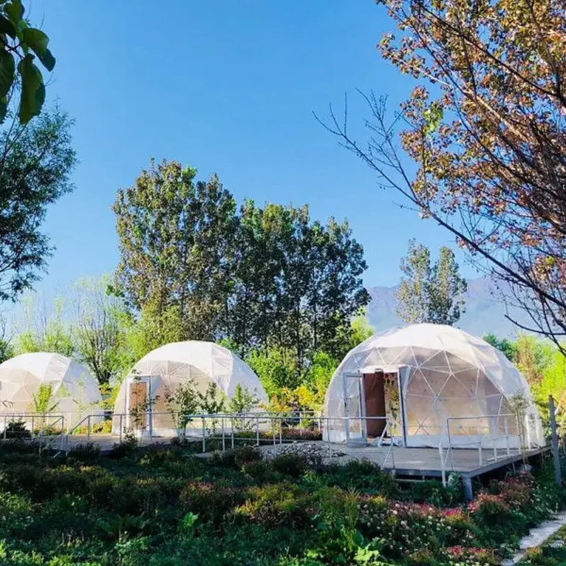 Outdoor Luxury Glamping Geodome Tents Pvc Dome Price Prefab House Resort Hotel Home Camping Geodesic Round Dome Tent for Sale