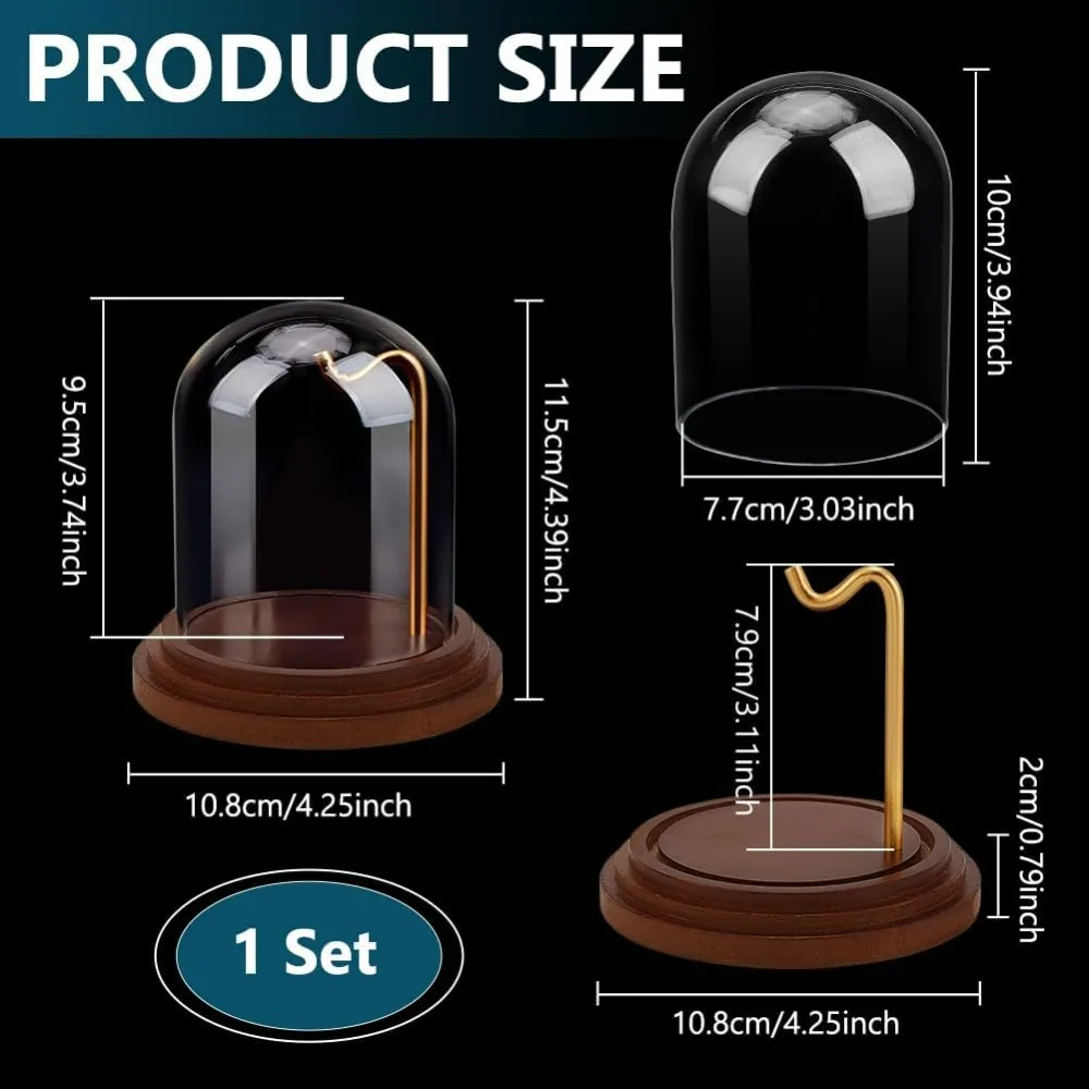 Pocket Watch Display Dome Cloche with Hook 4.2
