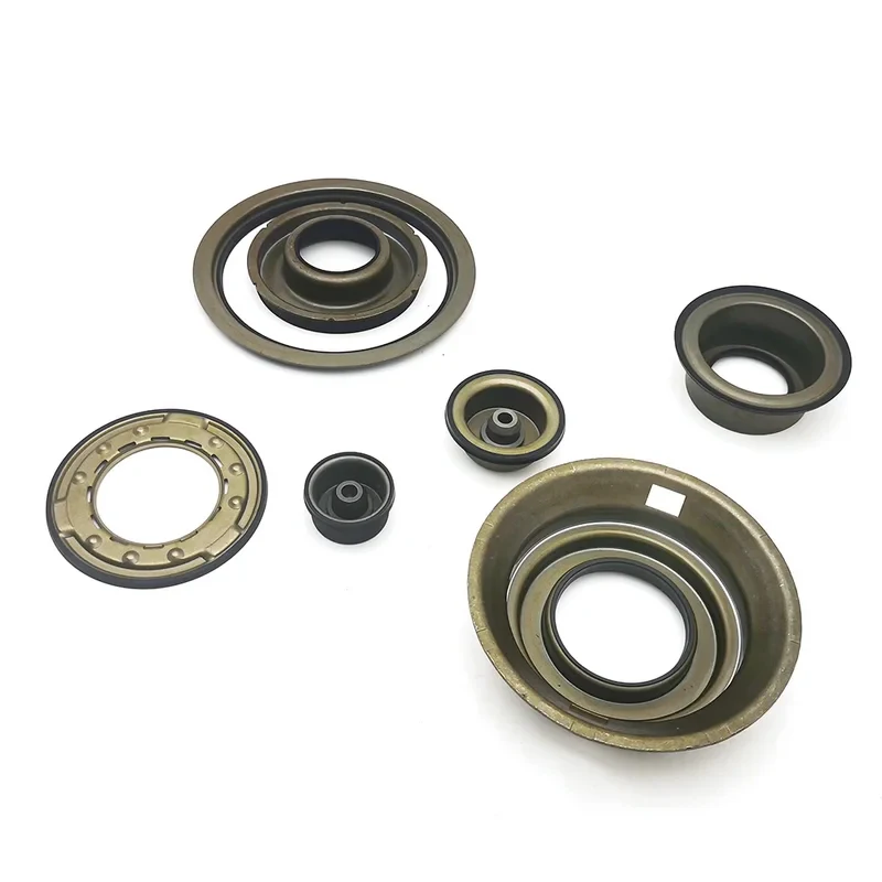 Premium AL4 DPO Automatic Gearbox Overhaul Kit Complete Brake Band And Piston Repair Components