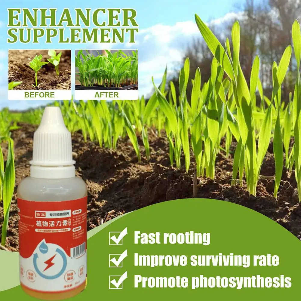 Liquid Fertilizer Water Soluble All Purpose Plant Food for Indoor or Outdoor Flowers Vegetables or Trees 50ml L5V2