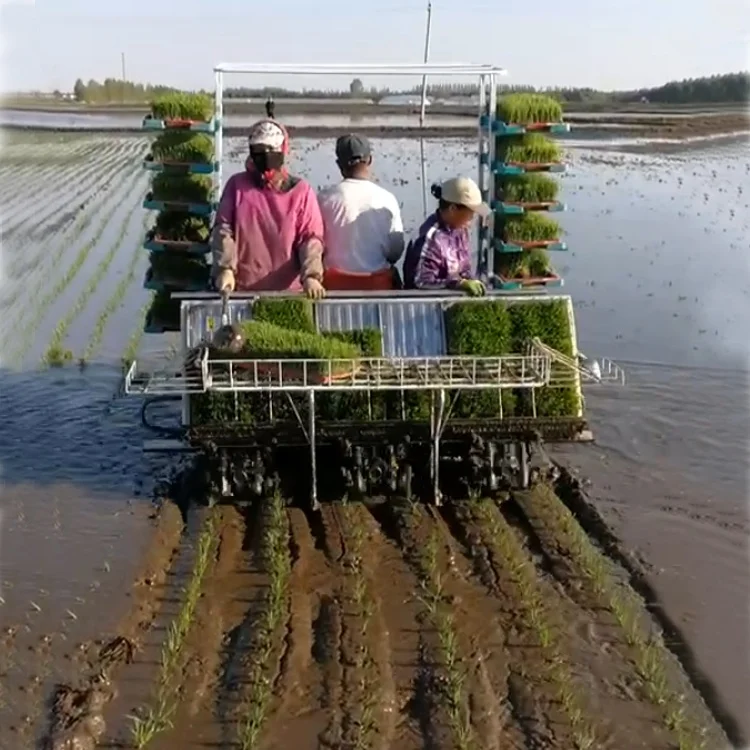 Portable Mini Rice Transplanter Hand Push Rice Paddy Seeder Machine for Home Use Farms & Retail Featuring Durable Bearings