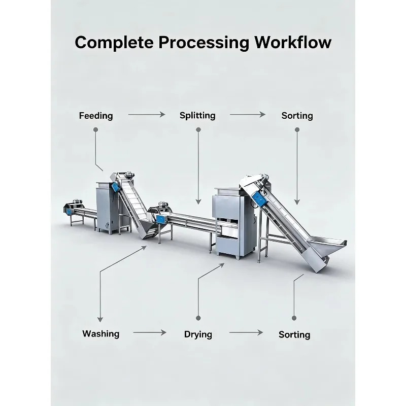 Customized Garlic Peeling Machine Industrial Garlic Clove Sorting Machine Garlic Processing Line