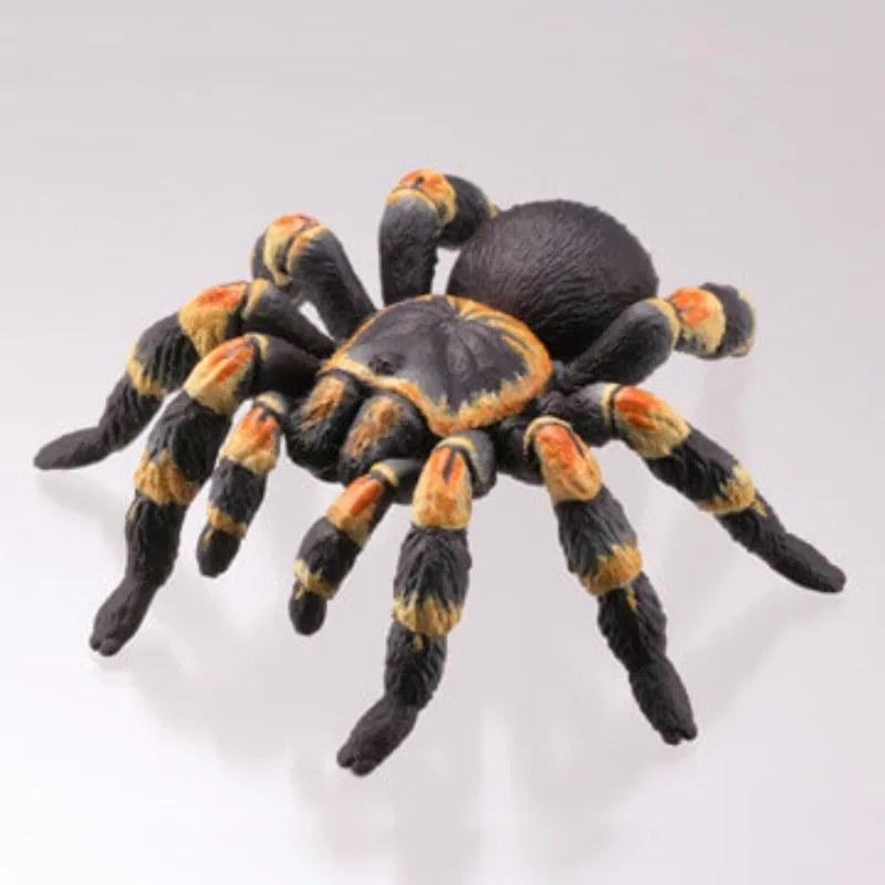 الحيوانات الخطرة Gashapon Centipede العنكبوت محاكاة الإبداع نموذج عمل الشكل