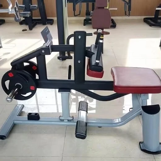 ASJ-M608 Gym Professional Fitness Equipment Plate Loaded Seated Seated Calf Raise Exercise Machine for Sale