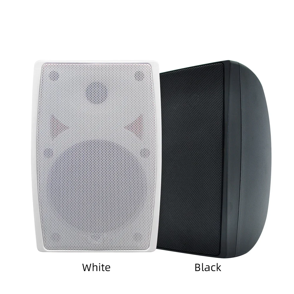 Affordable Fixed Installation Wall-mount Speakers - Experience High-Fidelity Sound Quality for Immersive Entertainment