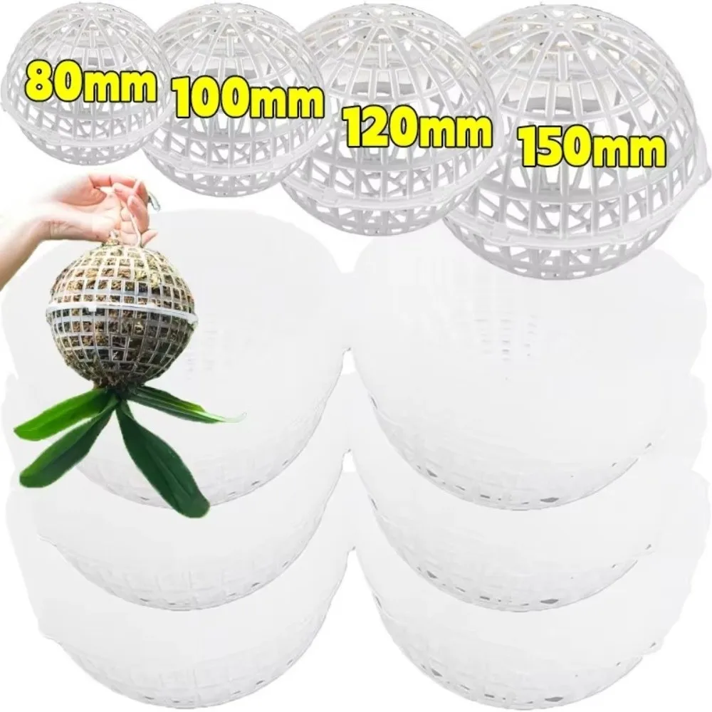 5Pcs Reusable Empty Porous Suspension Ball Plastic Transparent Suspended Ball Filler Drainage Holes Diameter 80/100/150mm