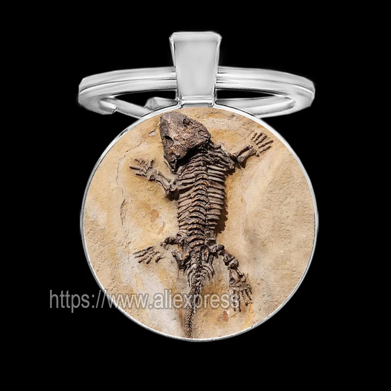 Biological Fossils Keychains for Men Plant Dinosaur Fish Tortoise Key Holder for Keys Cool Keychain for Boy