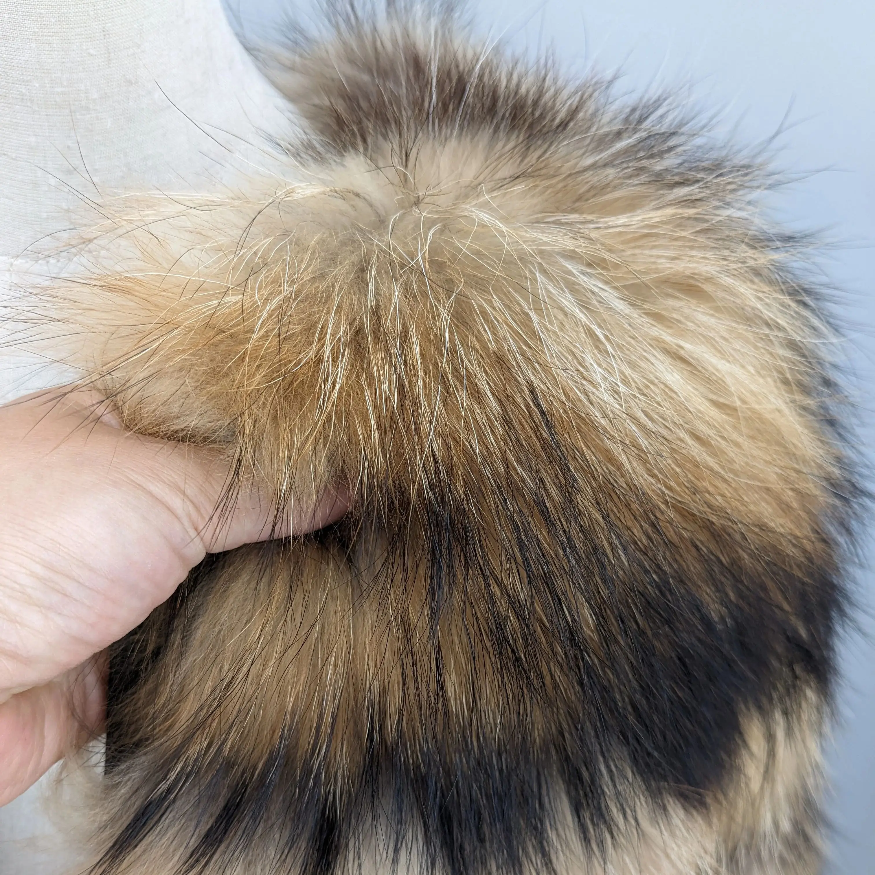 معطف فرو الراكون الطبيعي الحقيقي للنساء الشتاء كامل بيلت الفراء سترة قصيرة طول 51 سنتيمتر 250626