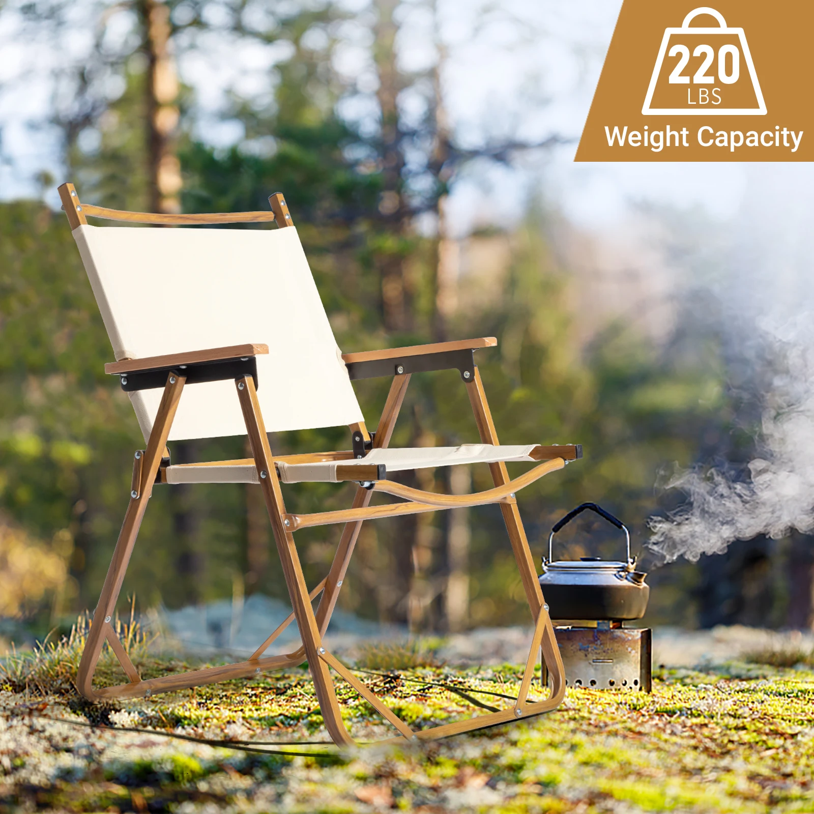 Camping Chairs, Outdoor Folding Chairs for Garden Lawn, Fishing, Picnic, Supports up to 220lbs