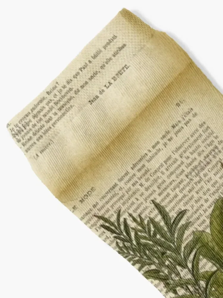 Botanical print, on old book page - licorice Socks Running new in's Wholesale Men's Socks Women Men's