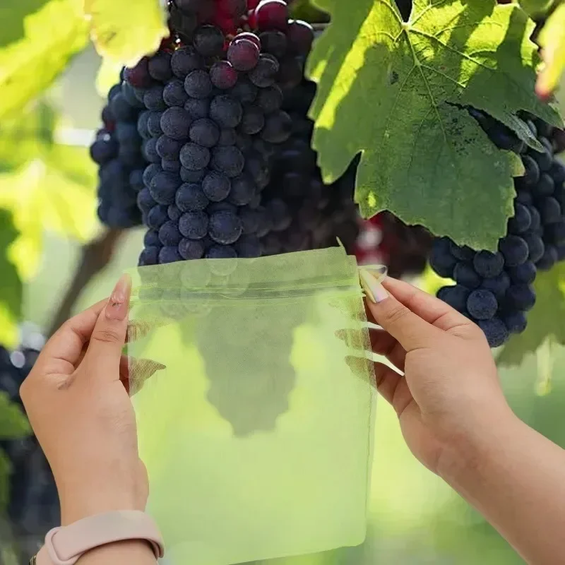 10-100 قطعة أكياس حماية الفاكهة الشبكية الخضراء مع إغلاق الرباط المزدوج قابلة لإعادة الاستخدام لأشجار الحديقة والخضروات والعنب كيس شاش