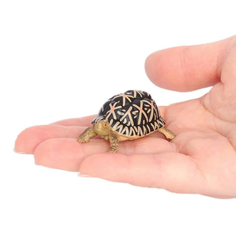 جديد محاكاة الزواحف الحيوان السلاحف الصغيرة شبل نموذج عمل تمثال أرقام جمع الدمى ألعاب تعليمية للأطفال هدية #4