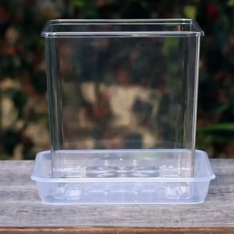 F19B Clear Breathable Plant Container Desktop Ornament Planter Plant Pot Craft